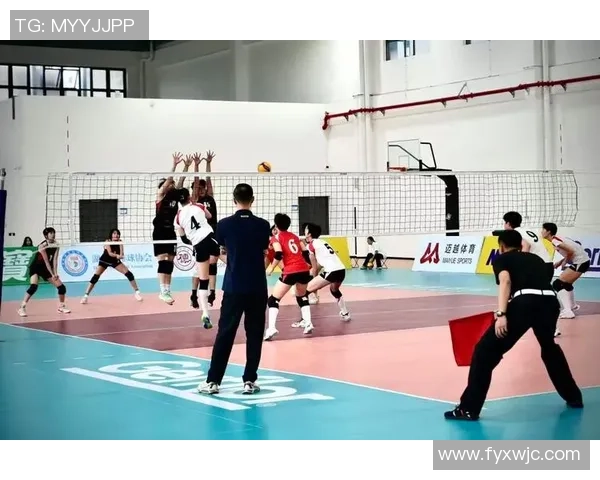 上海排球队的奋斗历程与荣耀时刻全景纪实